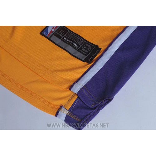 Camiseta Los Angeles Lakers Lebron James NO 23 Icon 2017-18 Amarillo